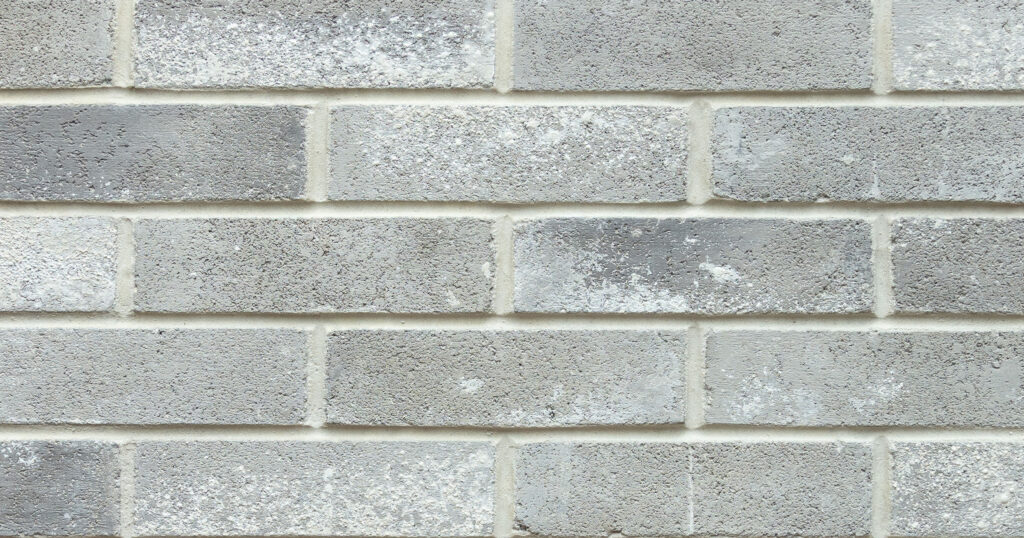 Coral Grey brick product detail photo. 