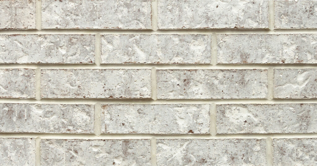 Amaryllis brick photo. Detail shot.