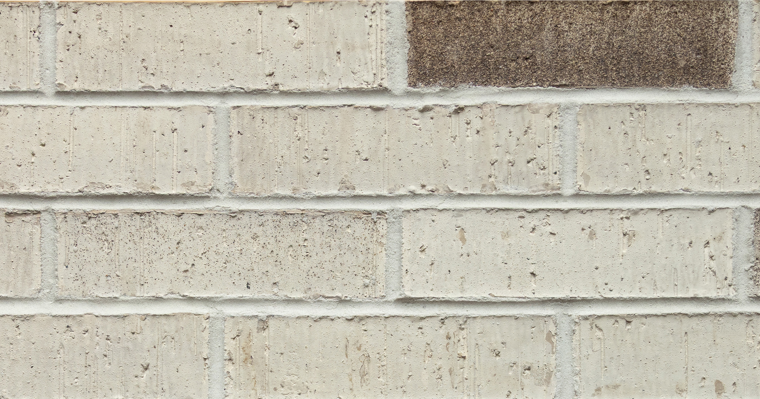 Winter Lake brick with product swatch close up details